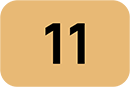  11 
